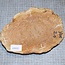 Goldfield Burl knot, approx. 210 x 140 x 60mm, 1,4kg