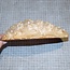 Goldfield Burl knot, approx. 210 x 140 x 60mm, 1,4kg
