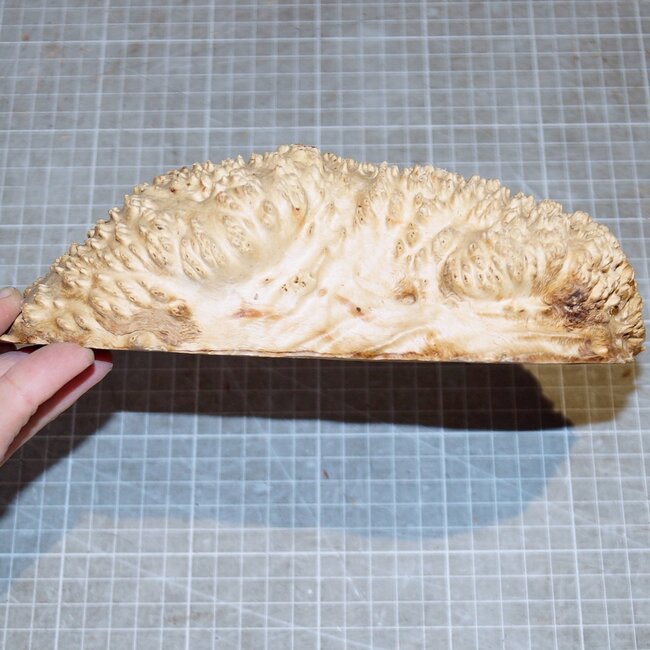 Goldfield Maser Knolle, ca. 200 x 140 x 50mm, 1,3kg