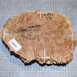 Goldfield Burl knot, approx. 220 x 160 x 70mm, 1,9kg