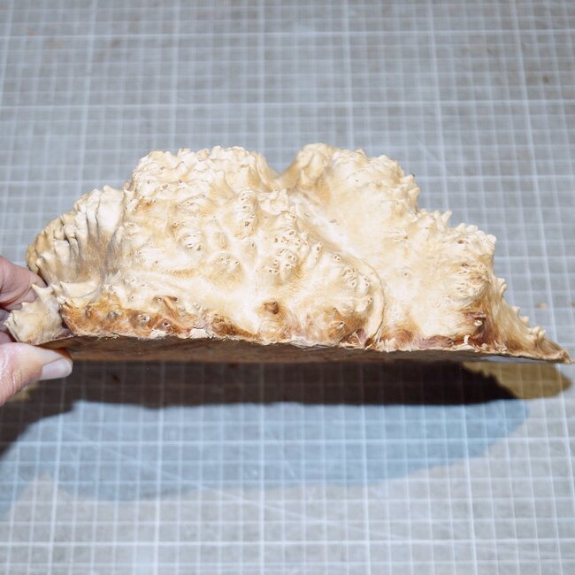 Goldfield Maser Knolle, ca. 220 x 160 x 70mm, 1,9kg