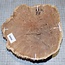 Goldfield Maser Knolle, ca. 210 x 210 x 60mm, 2,3kg