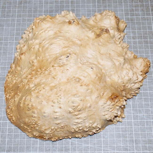 Goldfield Maser Knolle, ca. 210 x 210 x 60mm, 2,3kg