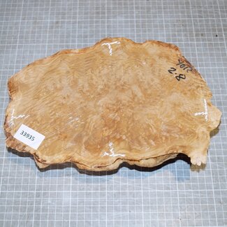 Goldfield Burl knot, approx. 260 x 165 x 50mm, 2,0kg
