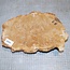 Goldfield Burl knot, approx. 260 x 165 x 50mm, 2,0kg