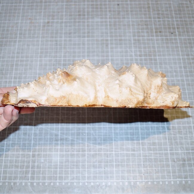 Goldfield Burl knot, approx. 260 x 165 x 50mm, 2,0kg