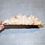 Goldfield Maser Knolle, ca. 260 x 165 x 50mm, 2,0kg