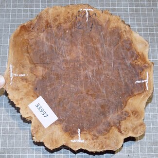 Goldfield Maser Knolle, ca. 180 x 180 x 55mm, 1,3kg
