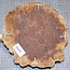 Goldfield Burl knot, approx. 180 x 180 x 55mm, 1,3kg
