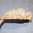 Goldfield Maser Knolle, ca. 180 x 180 x 55mm, 1,3kg
