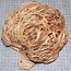 Goldfield Maser Knolle, ca. 180 x 180 x 90mm, 2,2kg