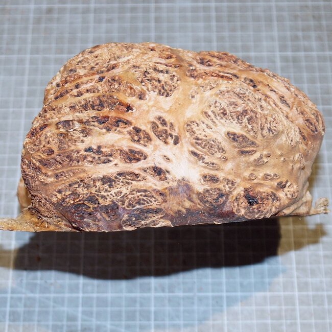 Goldfield Maser Knolle, ca. 180 x 180 x 90mm, 2,2kg
