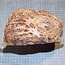 Goldfield Burl knot, approx. 180 x 180 x 90mm, 2,2kg