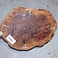 Goldfield Burl knot, approx. 210 x 160 x 60mm, 1,7kg