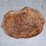 Goldfield Maser Knolle, ca. 210 x 160 x 60mm, 1,7kg