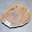 Goldfield Maser Knolle, ca. 185 x 145 x 50mm, 1,3kg