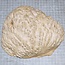 Goldfield Burl knot, approx. 185 x 145 x 50mm, 1,3kg