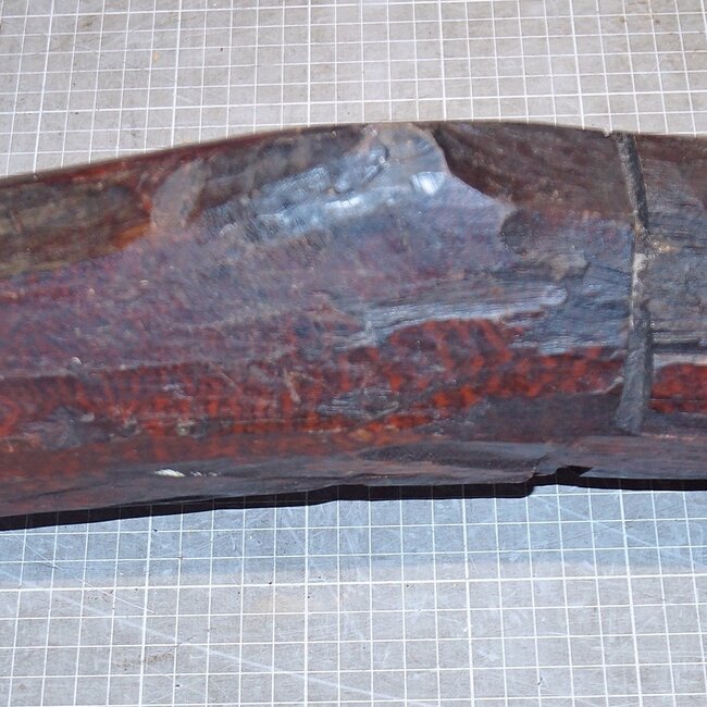 Schlangenholz, ca. 500 x 95x 80mm, 4,6kg