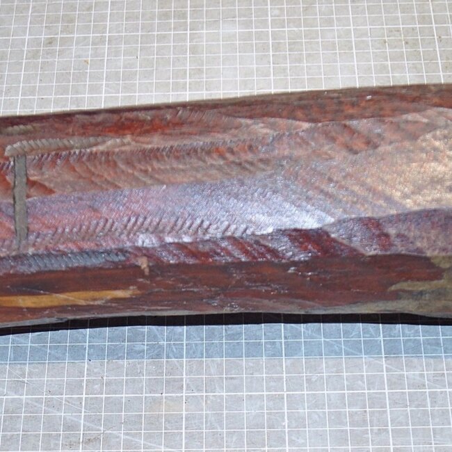 Schlangenholz, ca. 530 x 95 x 90mm, 5,6kg