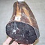 Schlangenholz, ca. 400 x 120 x 100-120mm, 5,7kg