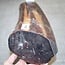 Snakewood, approx. 400 x 120 x 100-120mm, 5,7kg