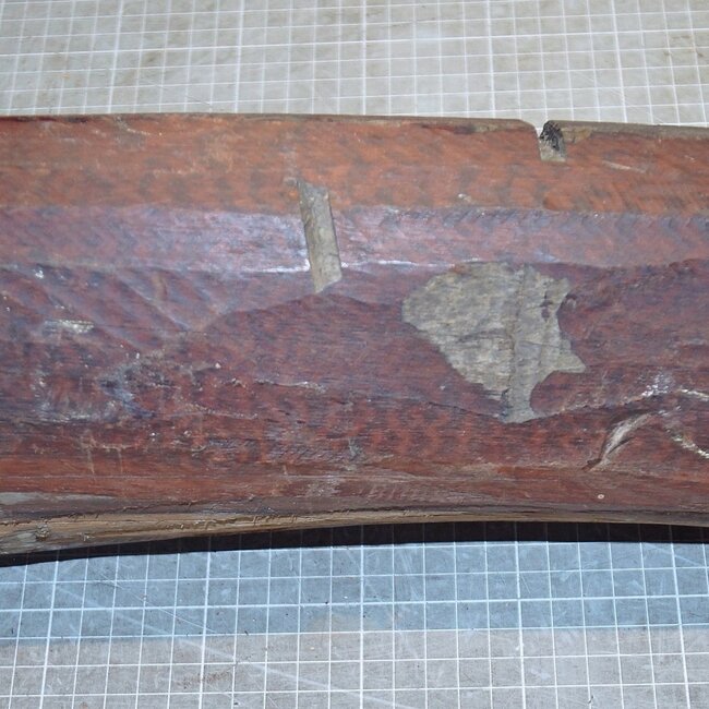 Schlangenholz, ca. 400 x 120 x 100-120mm, 5,7kg