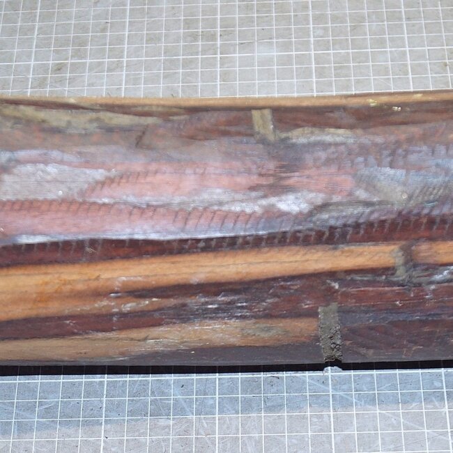 Snakewood, approx. 400 x 120 x 100-120mm, 5,7kg