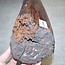 Schlangenholz, ca. 490 x 110 x 110mm, 7,6kg