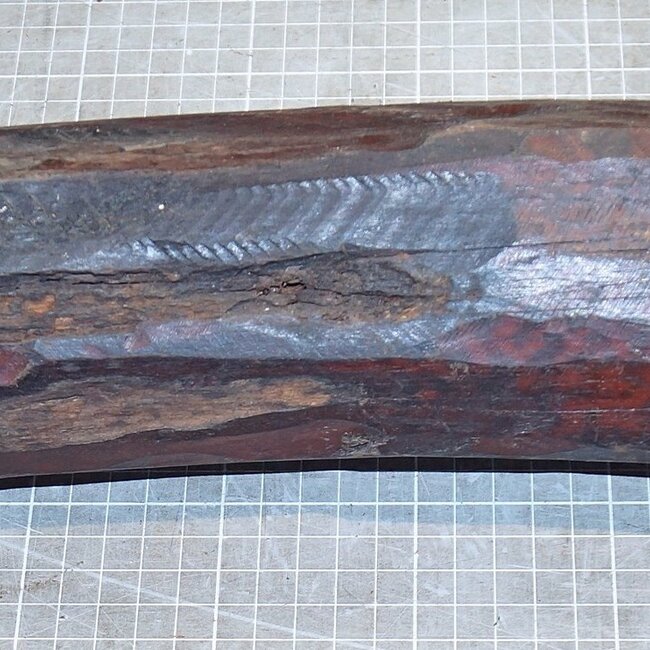 Schlangenholz, ca. 520 x 80 x 80mm, 4,1kg
