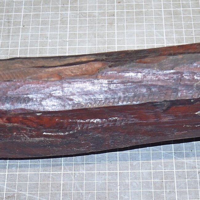 Snakewood, approx. 520 x 80 x 80mm, 4,1kg