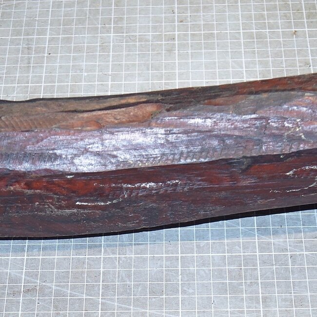 Snakewood, approx. 520 x 80 x 80mm, 4,1kg