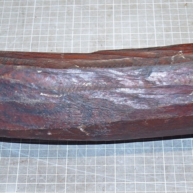 Schlangenholz, ca. 520 x 80 x 80mm, 4,1kg