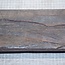 Schlangenholz, ca. 465 x 110 x 60mm, 4,2kg