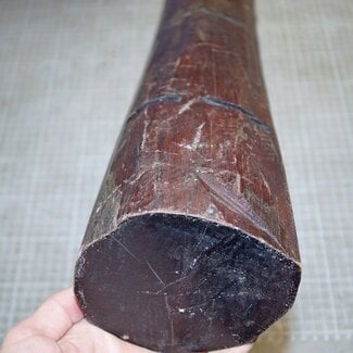 Schlangenholz, ca. 490 x 100 x 100mm, 6,1kg
