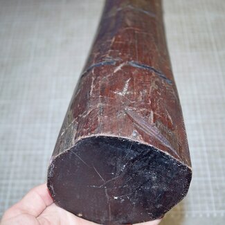 Snakewood, approx. 490 x 100 x 100mm, 6,1kg