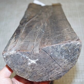 Snakewood, approx. 465 x 110 x 60mm, 4,2kg