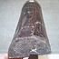 Snakewood, approx. 465 x 110 x 60mm, 4,2kg