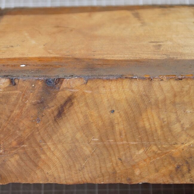 Esche Riegel, ca. 200 x 270 x 79mm, 1,9kg