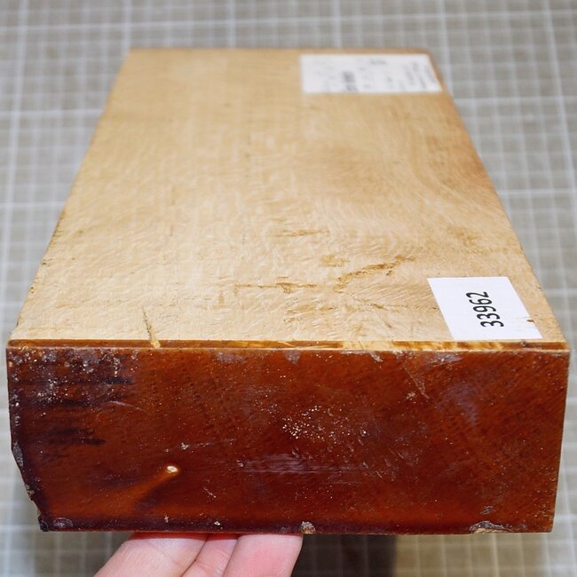 Cork oak, approx. 300 x 130 x 50mm, 1,8kg