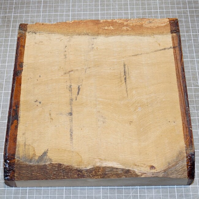 Cork oak, approx. 240 x 150 x 50mm, 2,2kg