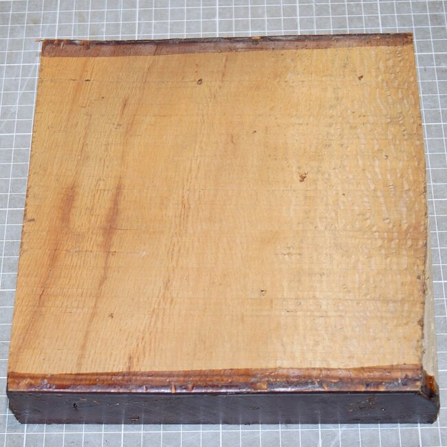Cork oak, approx. 205 x 150 x 50mm, 2,1kg
