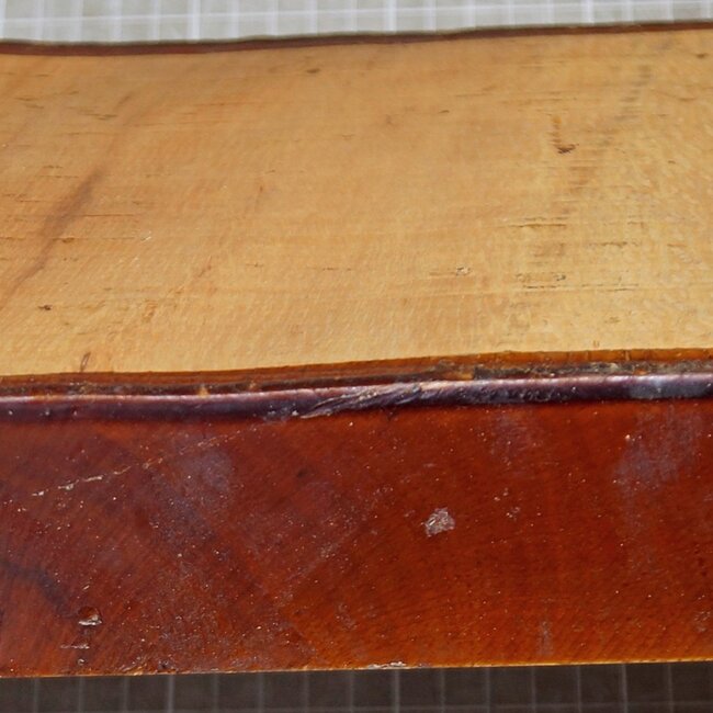 Cork oak, approx. 205 x 150 x 50mm, 2,1kg