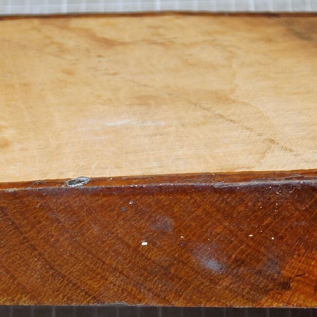 Korkeiche, ca. 180 x 150 x 47mm, 1,3kg