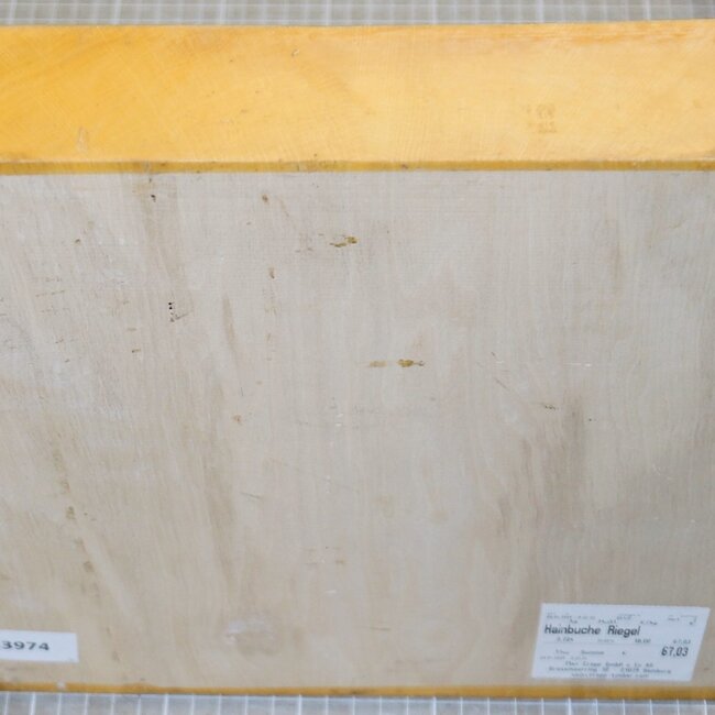 Hainbuche Riegel, ca. 300 x 150 x 50mm, 3,7kg