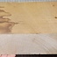 Korkeiche, ca. 300 x 150 x 47mm, 3,4kg
