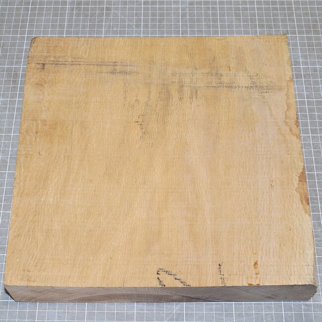 Cork oak, approx. 300 x 150 x 50mm, 3,5kg