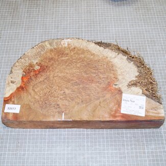 Amboyna Burl, approx. 400 x 240 x 54mm, 3,5kg