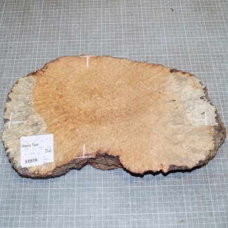 Amboyna Burl, approx. 360 x 220 x 60mm, 3,7kg