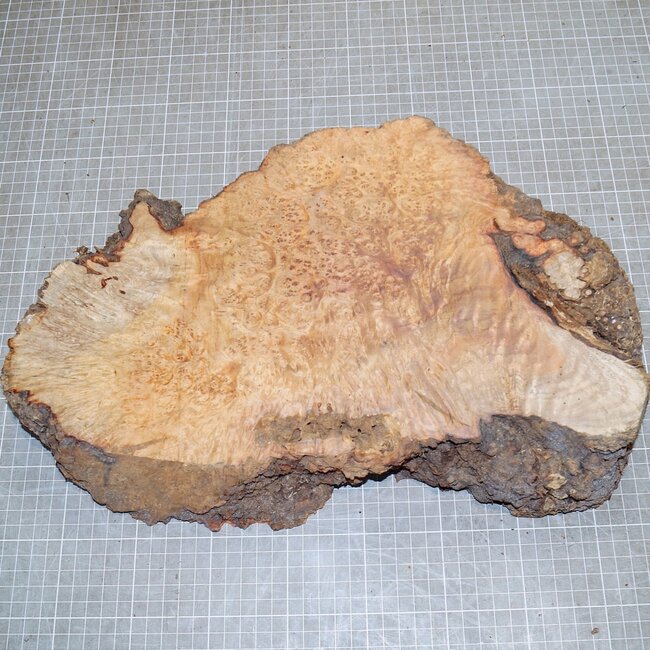 Amboina Maser, ca. 360 x 220 x 60mm, 3,7kg