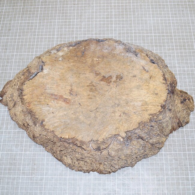 Amboina Maser, ca. 345 x 295 x 40-50mm, 2,5kg